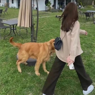向阳的日子